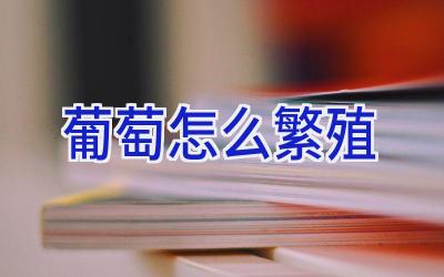 葡萄怎么繁殖插图