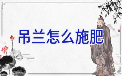 吊兰怎么施肥插图 吊兰怎么施肥插图