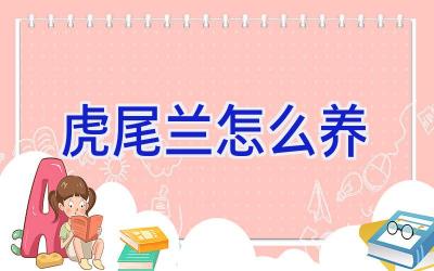 虎尾兰怎么养插图 虎尾兰怎么养插图