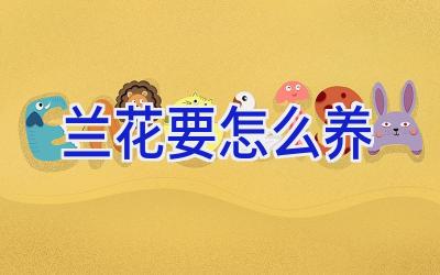 兰花要怎么养插图 兰花要怎么养插图