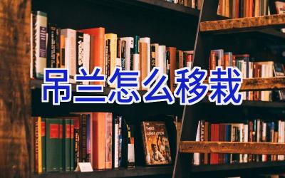 吊兰怎么移栽插图 吊兰怎么移栽插图