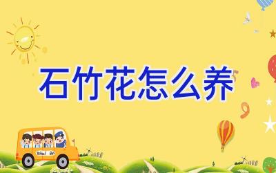 石竹花怎么养插图 石竹花怎么养插图