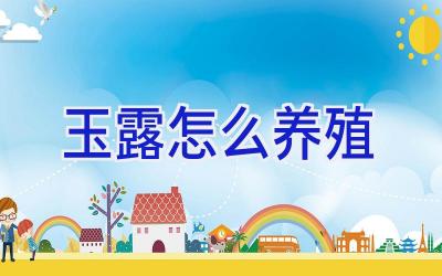 玉露怎么养殖插图