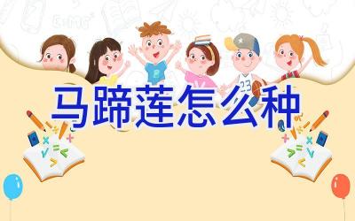 马蹄莲怎么种插图 马蹄莲怎么种插图