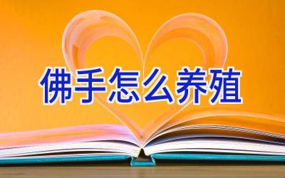 佛手怎么养殖插图