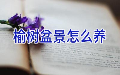 榆树盆景怎么养插图 榆树盆景怎么养插图