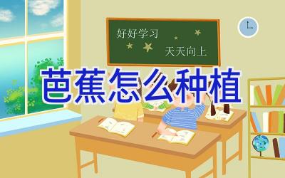 芭蕉怎么种植插图