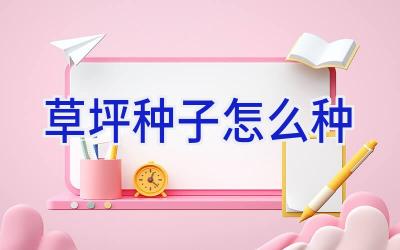 草坪种子怎么种插图