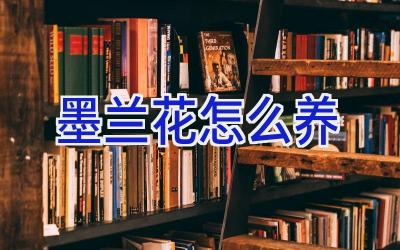 墨兰花怎么养插图 墨兰花怎么养插图