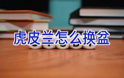 虎皮兰怎么换盆插图