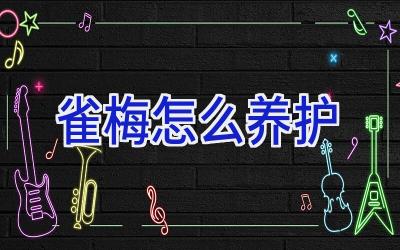 雀梅怎么养护插图