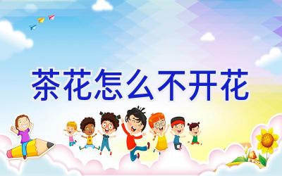 茶花怎么不开花插图 茶花怎么不开花插图