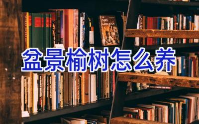 盆景榆树怎么养插图 盆景榆树怎么养插图