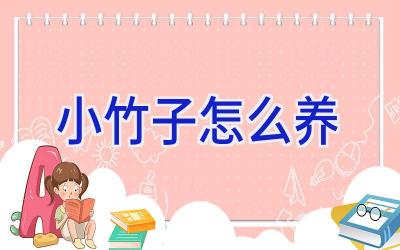 小竹子怎么养插图 小竹子怎么养插图