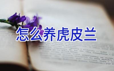 怎么养虎皮兰插图 怎么养虎皮兰插图