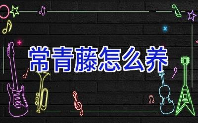 常青藤怎么养插图 常青藤怎么养插图