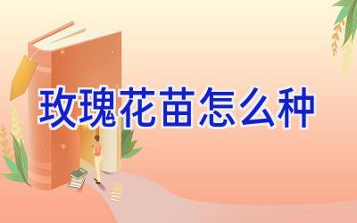 玫瑰花苗怎么种插图 玫瑰花苗怎么种插图