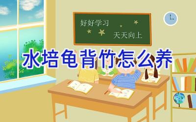 水培龟背竹怎么养插图 水培龟背竹怎么养插图