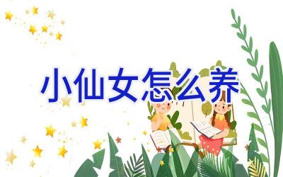 小仙女怎么养插图 小仙女怎么养插图