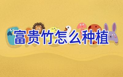 富贵竹怎么种植插图 富贵竹怎么种植插图