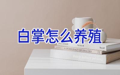 白掌怎么养殖插图 白掌怎么养殖插图