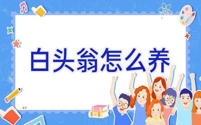 白头翁怎么养插图 白头翁怎么养插图