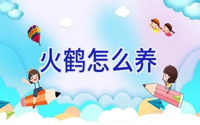 火鹤怎么养插图 火鹤怎么养插图