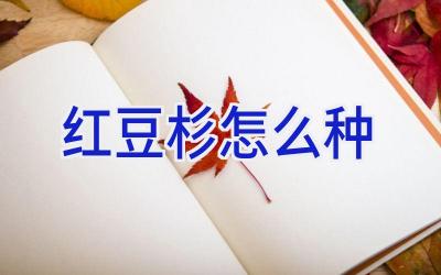 红豆杉怎么种插图
