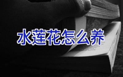 水莲花怎么养插图 水莲花怎么养插图