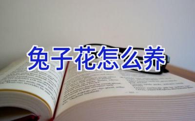 兔子花怎么养插图