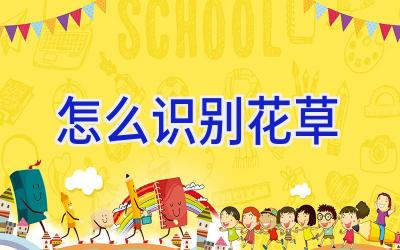 怎么识别花草插图