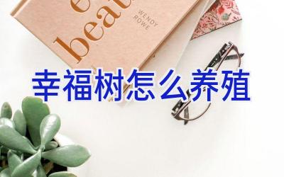 幸福树怎么养殖插图