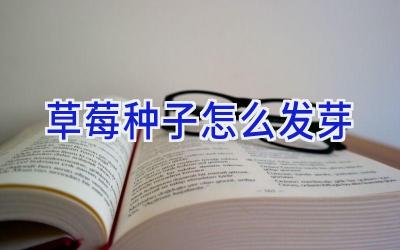 草莓种子怎么发芽插图