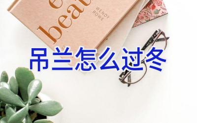 吊兰怎么过冬插图