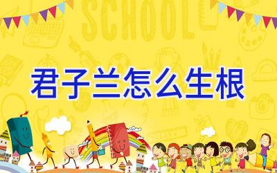 君子兰怎么生根插图 君子兰怎么生根插图