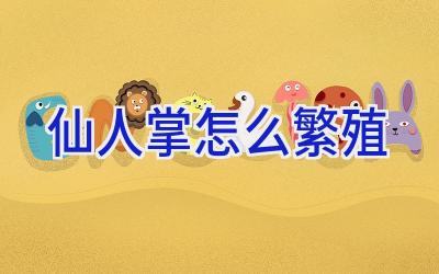 仙人掌怎么繁殖插图 仙人掌怎么繁殖插图