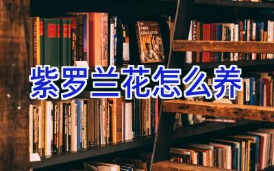 紫罗兰花怎么养插图 紫罗兰花怎么养插图