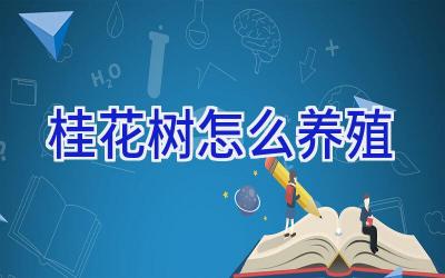 桂花树怎么养殖插图 桂花树怎么养殖插图