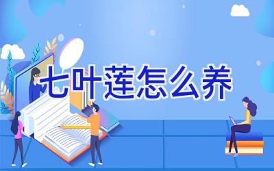 七叶莲怎么养插图