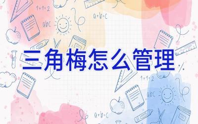 三角梅怎么管理插图