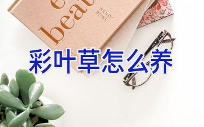 彩叶草怎么养插图 彩叶草怎么养插图