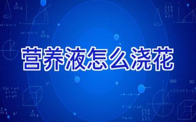 营养液怎么浇花插图 营养液怎么浇花插图