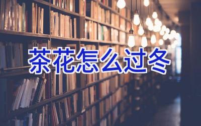 茶花怎么过冬插图 茶花怎么过冬插图