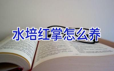 水培红掌怎么养插图