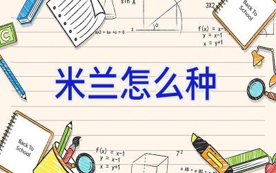 米兰怎么种插图