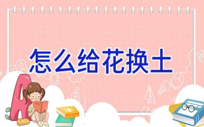 怎么给花换土插图 怎么给花换土插图