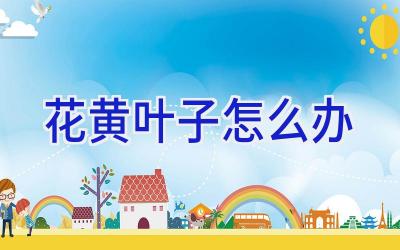 花黄叶子怎么办插图 花黄叶子怎么办插图