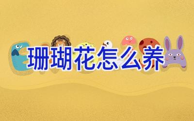 珊瑚花怎么养插图