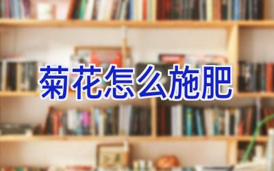 菊花怎么施肥插图