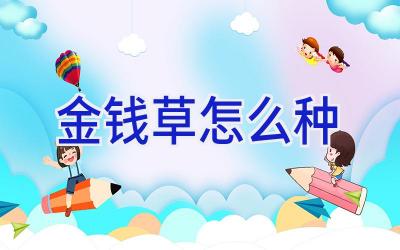 金钱草怎么种插图 金钱草怎么种插图